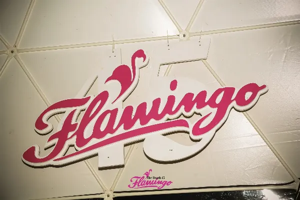 discoteca-Flamingo Beach-6
